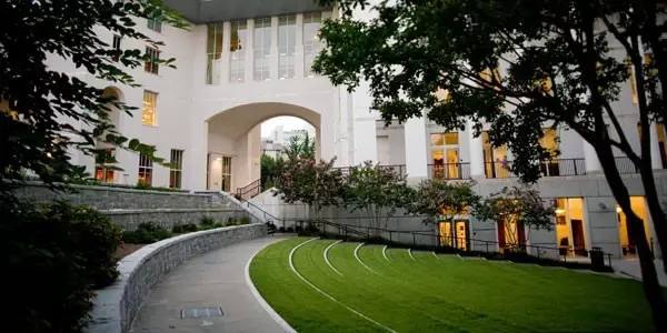 埃默里大学-是什么让你爱的迷醉